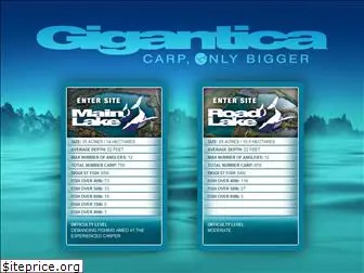 gigantica-carp.com