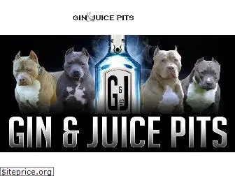 ginandjuicepits.com