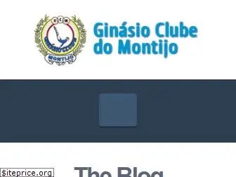ginasioclubemontijo.com