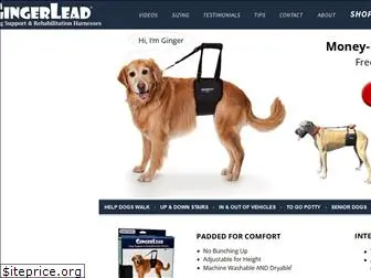 gingerlead.com