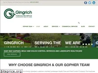 gingrichhort.com