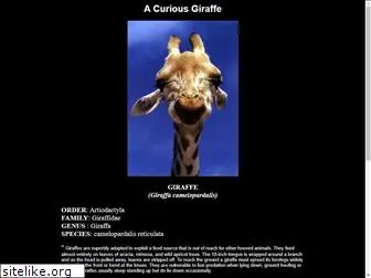 giraffes.org