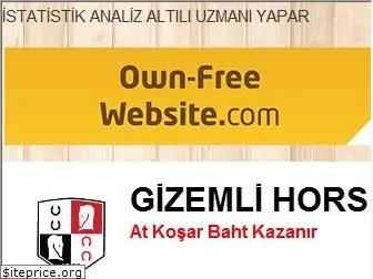 gizemlihorse.tr.gg