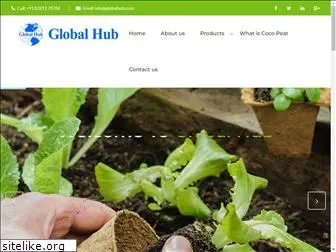 globalhub.co.in