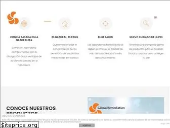 globalremediation.es