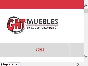 gntmuebles.com