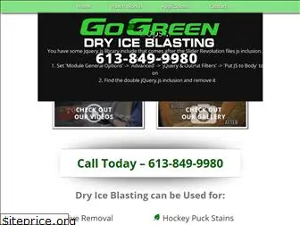 gogreendryiceblasting.com