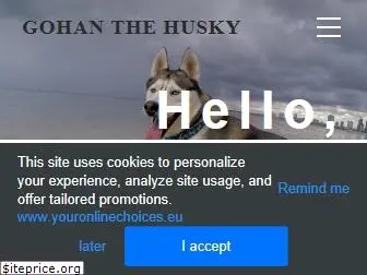 gohanthehusky.com