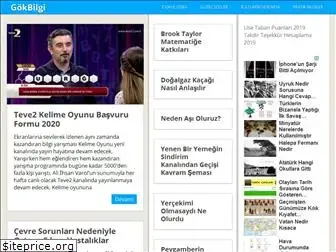 gokbilgi.com