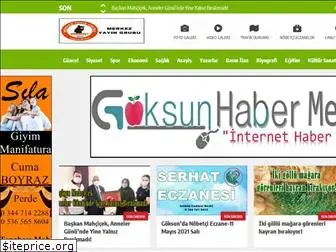 goksunhabermerkezi.com