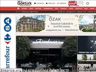 gokturkdergisi.com