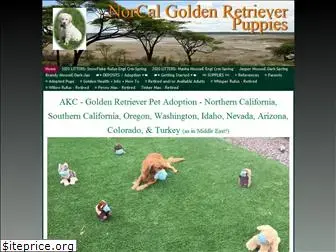 golden-retriever-pups.com