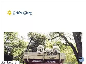 goldenglorypups.com