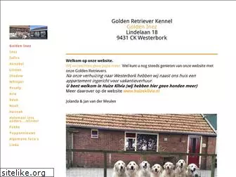 goldeninez.nl