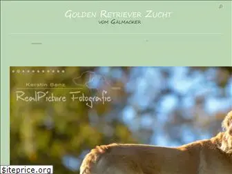 goldenretriever-vom-gaelmacker.de