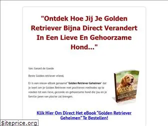 goldenretrieveradvies.nl