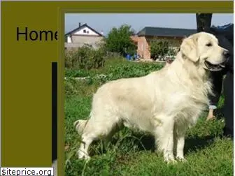 goldenretrieverforum.net