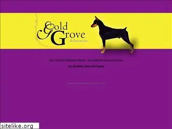 goldgrovedobermans.com