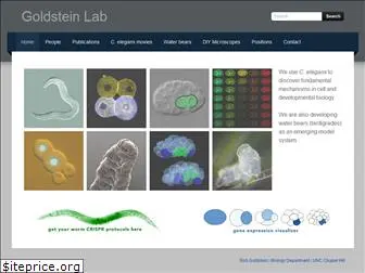 goldsteinlab.weebly.com