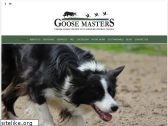 goose-masters.com