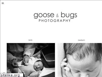 gooseandbugsphotography.com