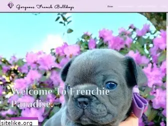gorgeousfrenchbulldogs.com