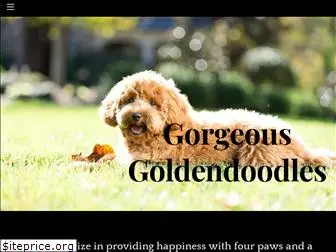 gorgeousgoldendoodlesnc.com