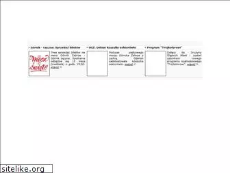 gornik.zabrze.net.pl