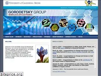gorodetskygroup.org