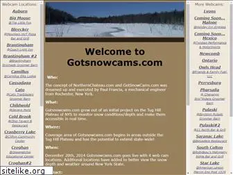 gotsnowcams.com