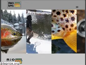 gottrout.com