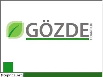 gozdefidan.com