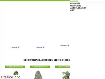 graine-cannabis.info