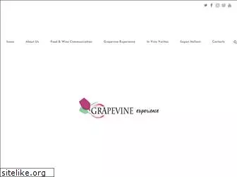 grapevineexperience.com