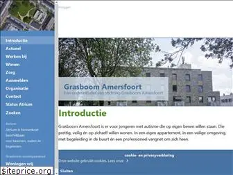 grasboomamersfoort.nl