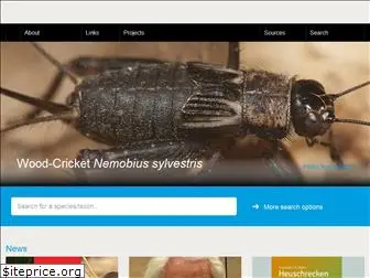 grasshoppersofeurope.com