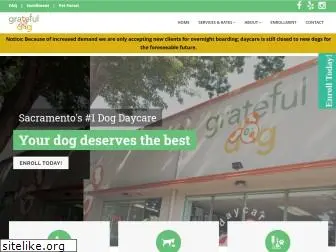 gratefuldogdaycare.com