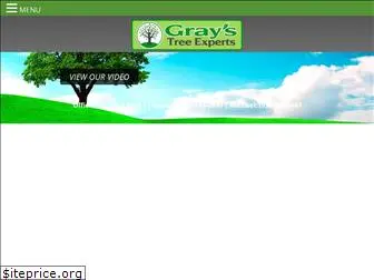 graystreeexperts.com