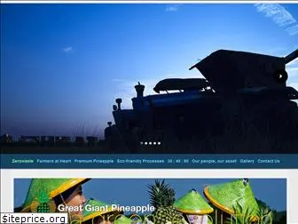 greatgiantpineapple.com