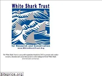 greatwhiteshark.co.za