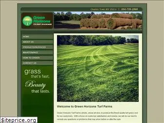 greenhorizonsturf.com