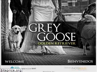 grey-goose.es