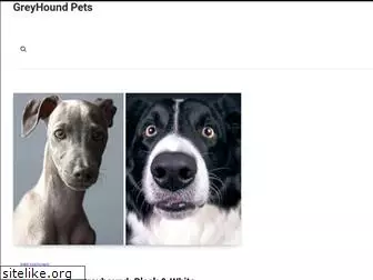 greyhoundpetsorlando.org