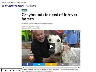 greyhoundrescuesanantonio.com