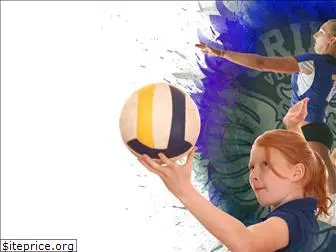 griffinvolleyball.com