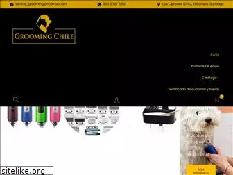 groomingchile.cl