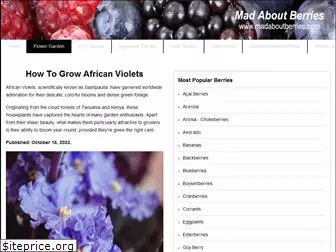 grow-african-violets.com