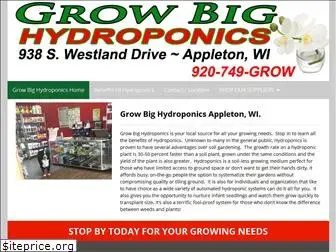 growbighydroponics2.com