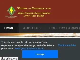 growchicks.com