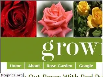growingroses.org